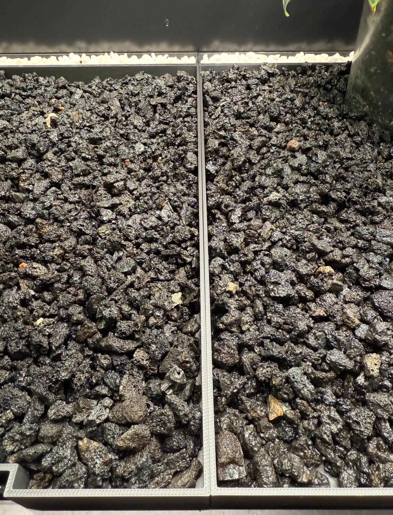 🌿 Rudsta Wide Humidity Base System