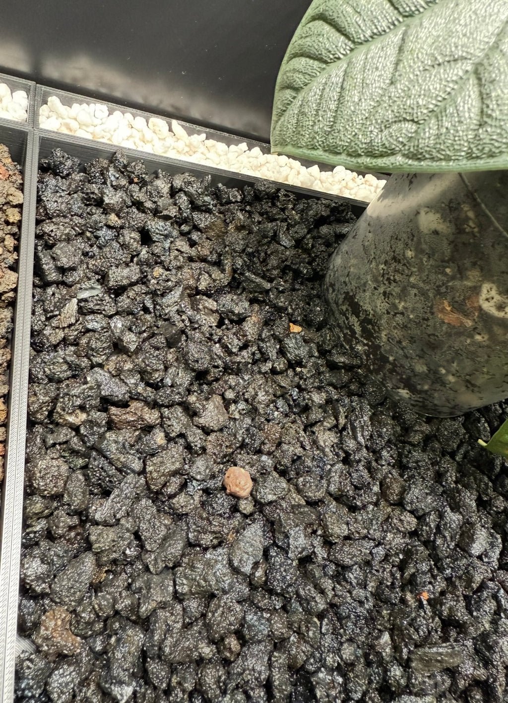 🌿 Rudsta Wide Humidity Base System