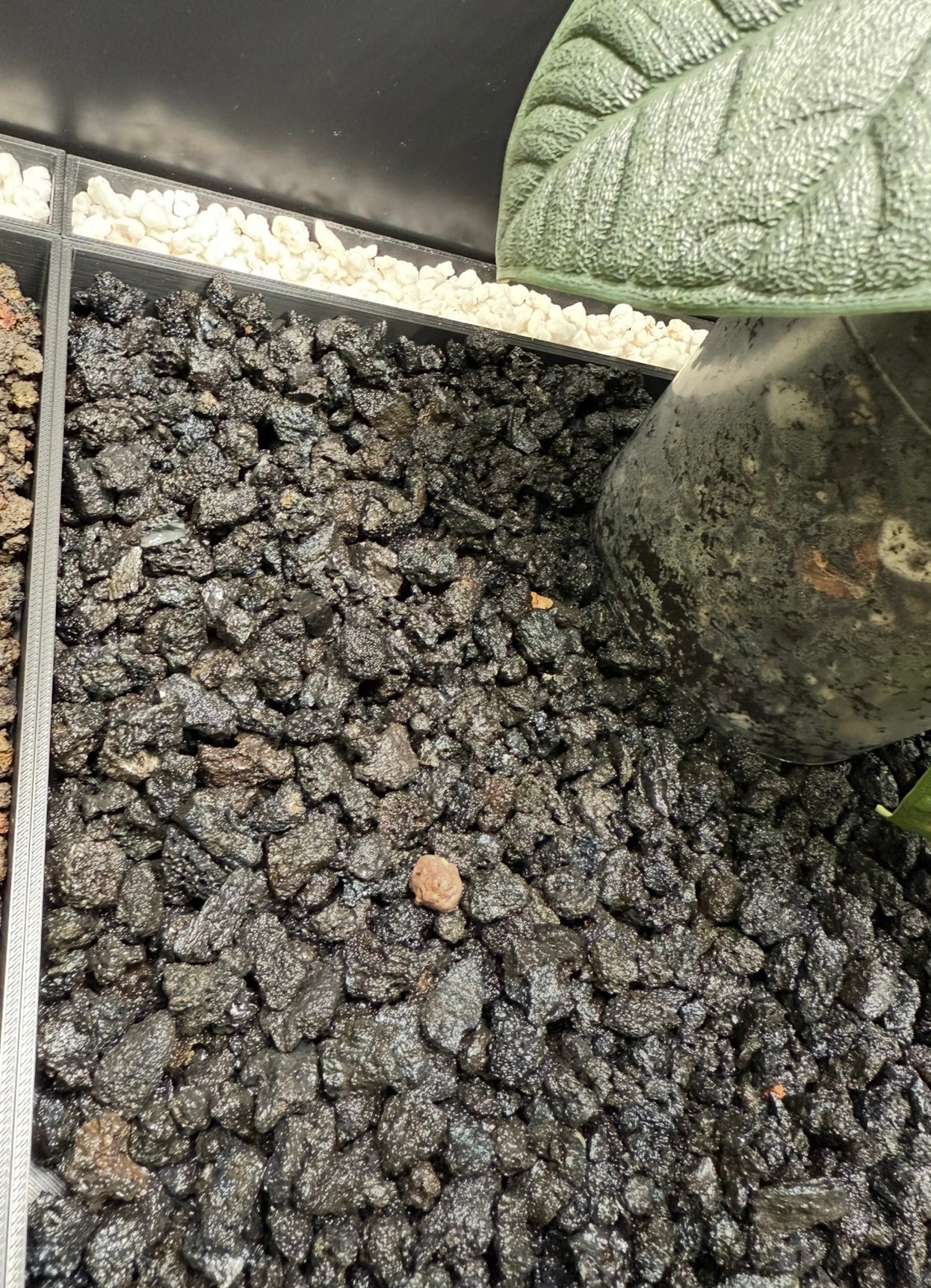 🌿 Rudsta Wide Humidity Base System