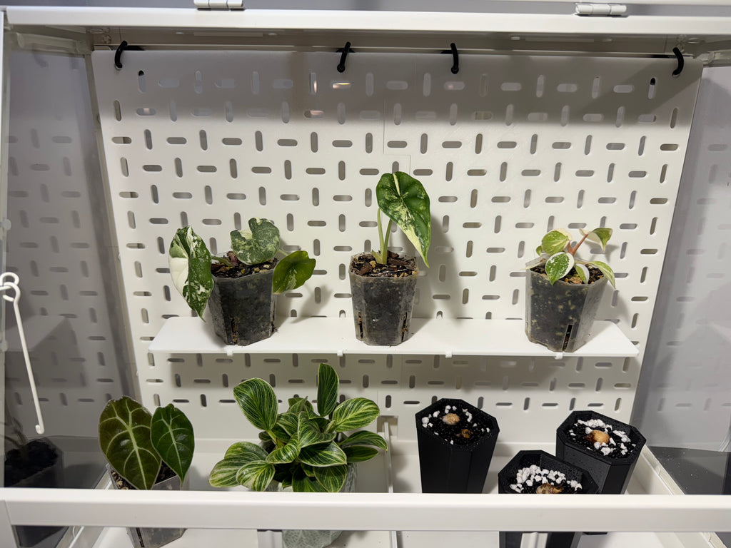 🌱ÅKERBÄR Small Modular Cabinet System
