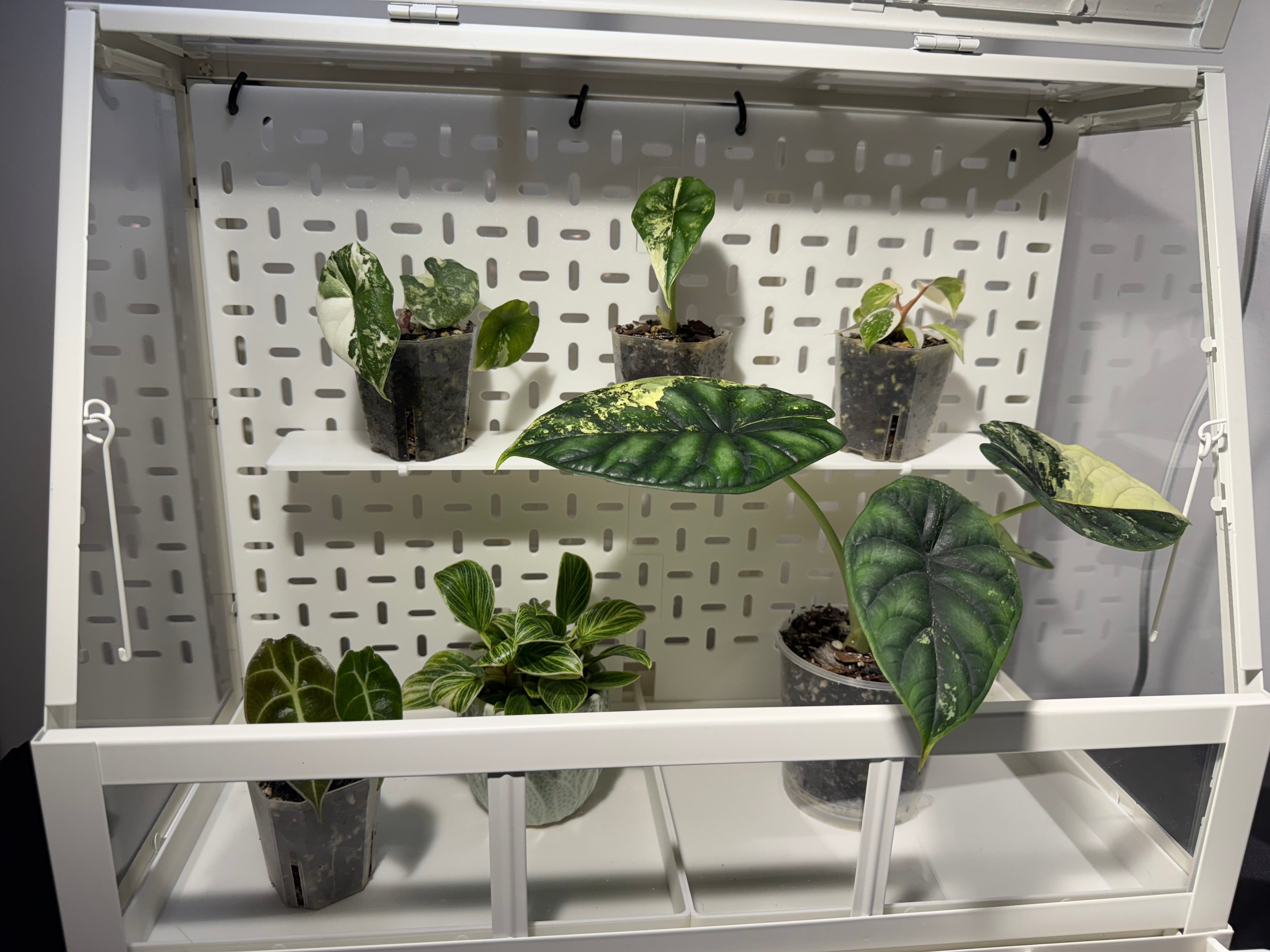 🌱ÅKERBÄR Small Modular Cabinet System