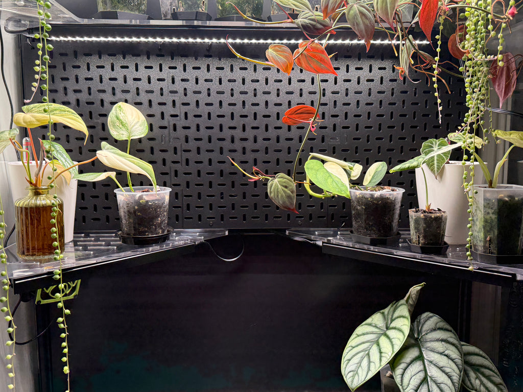 🌿 Rudsta Wide Full Cabinet Pegboard System