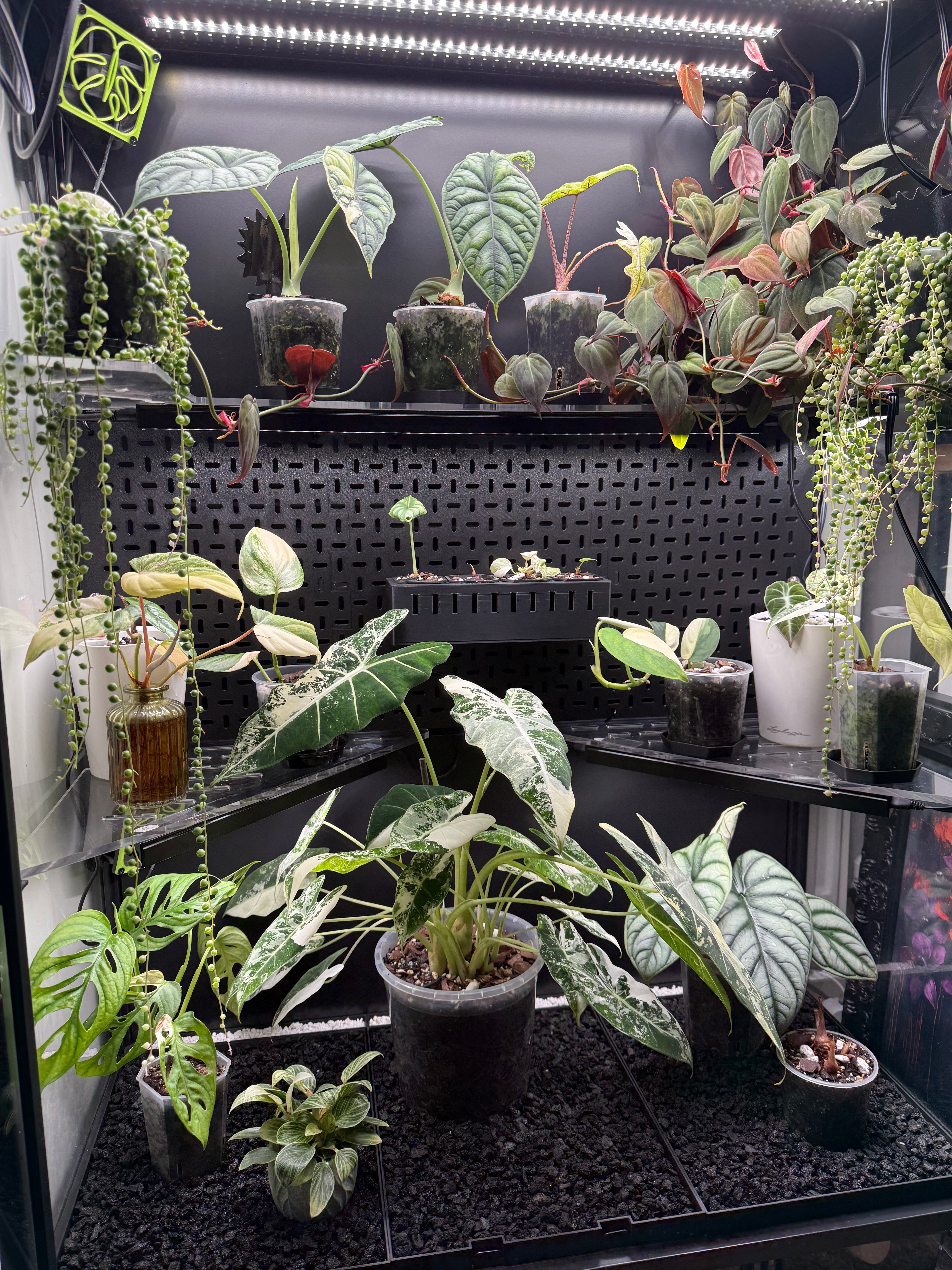 🌿 Rudsta Wide Full Cabinet Pegboard System