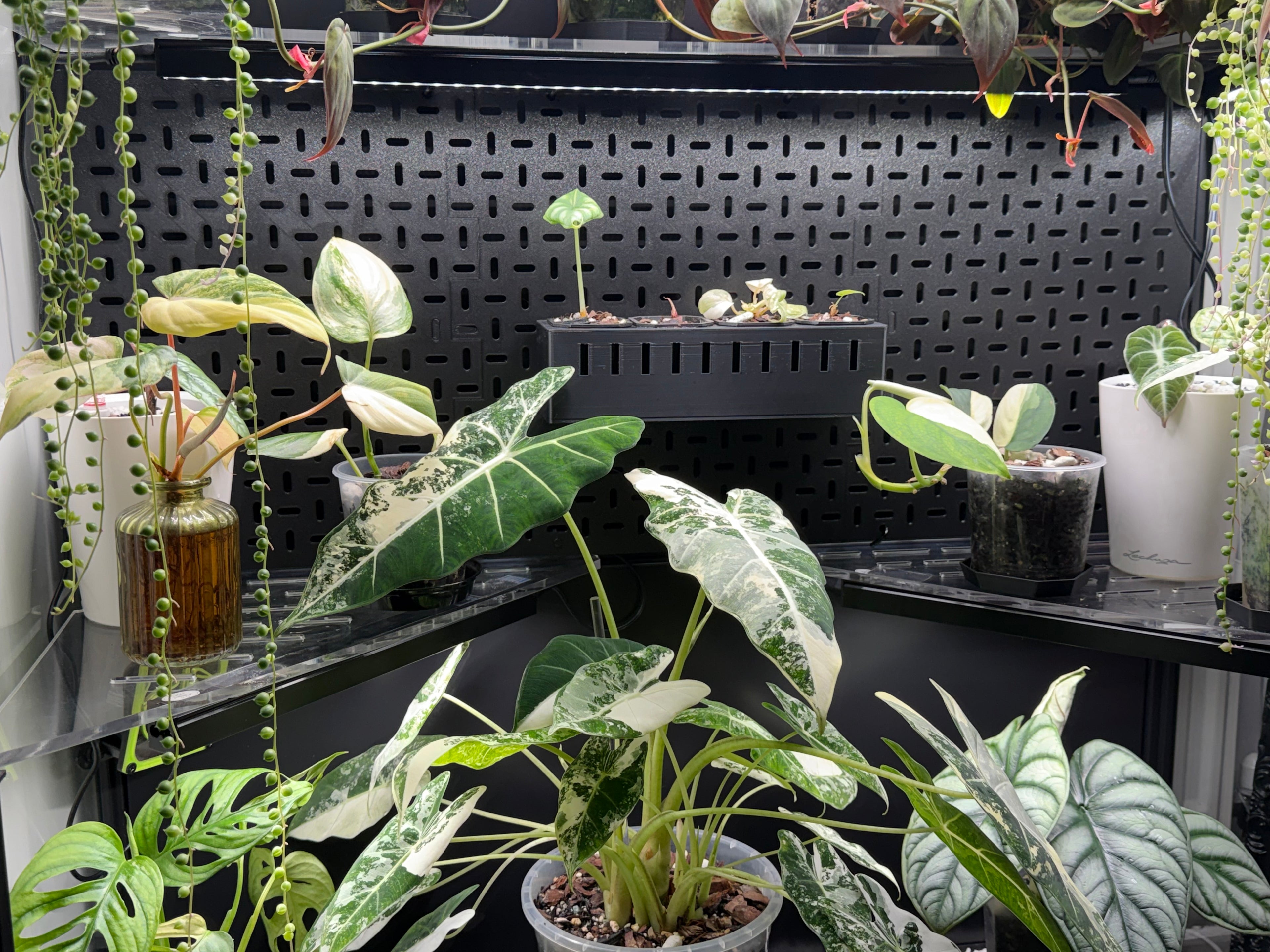 🌿 Rudsta Wide Full Cabinet Pegboard System