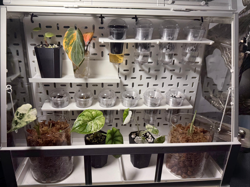 🌱ÅKERBÄR Small Modular Cabinet System