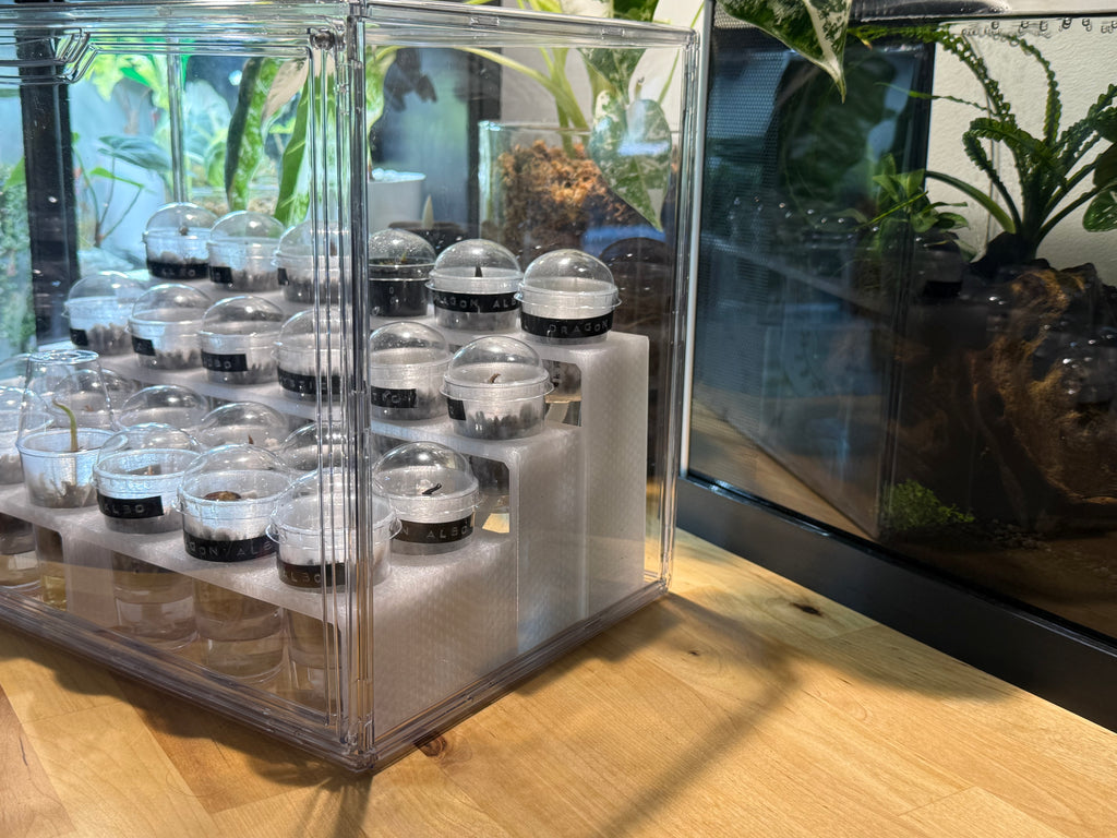 🌿 PropRack™ - 24 Cup Corm Propagation Box System