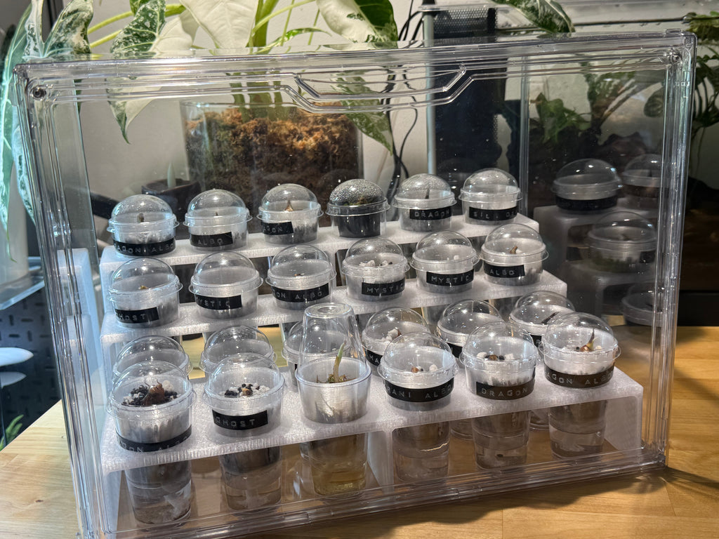 🌿 PropRack™ - 24 Cup Corm Propagation Box System