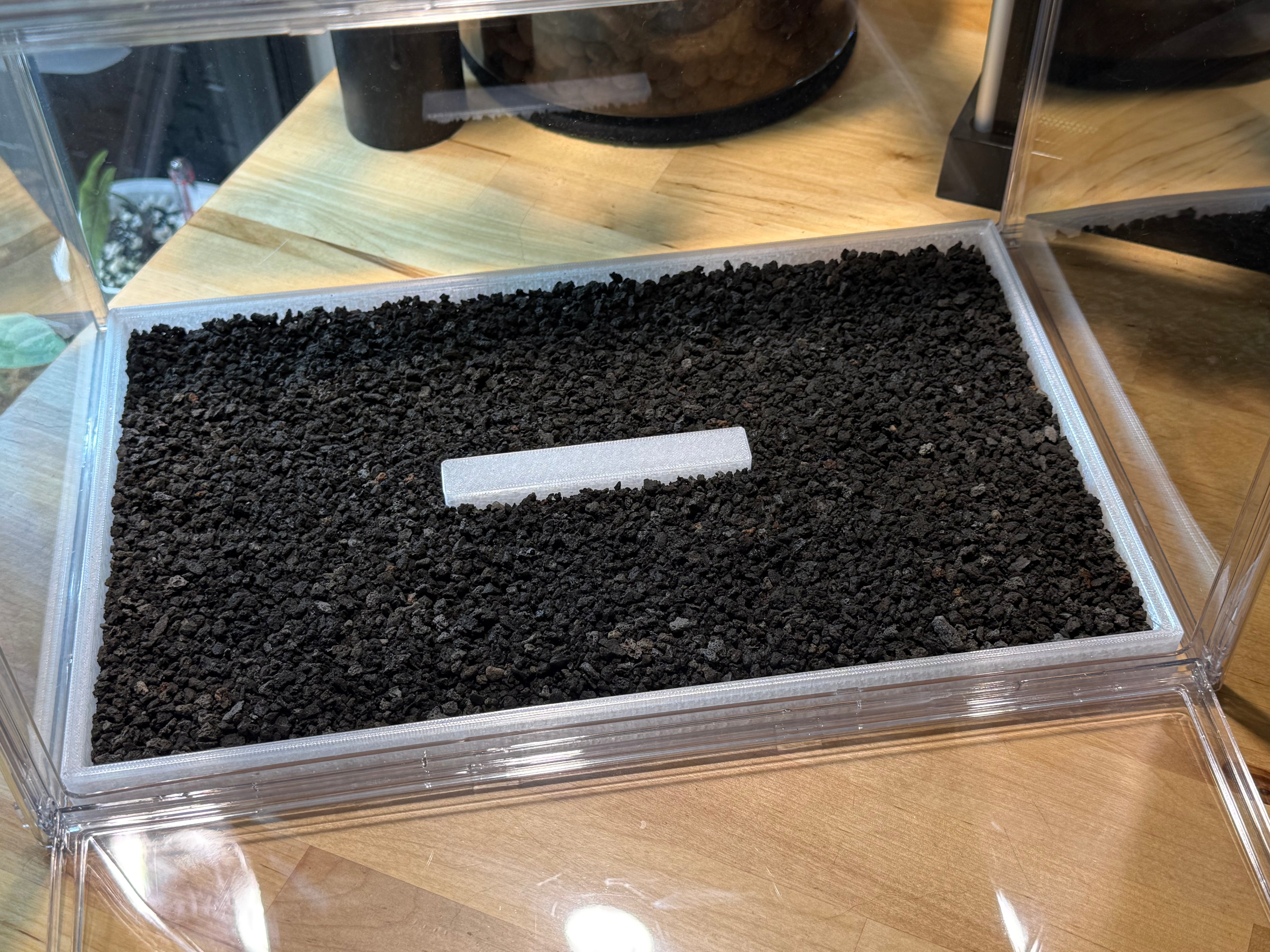 🌿 PropRack™ - 24 Cup Corm Propagation Box System