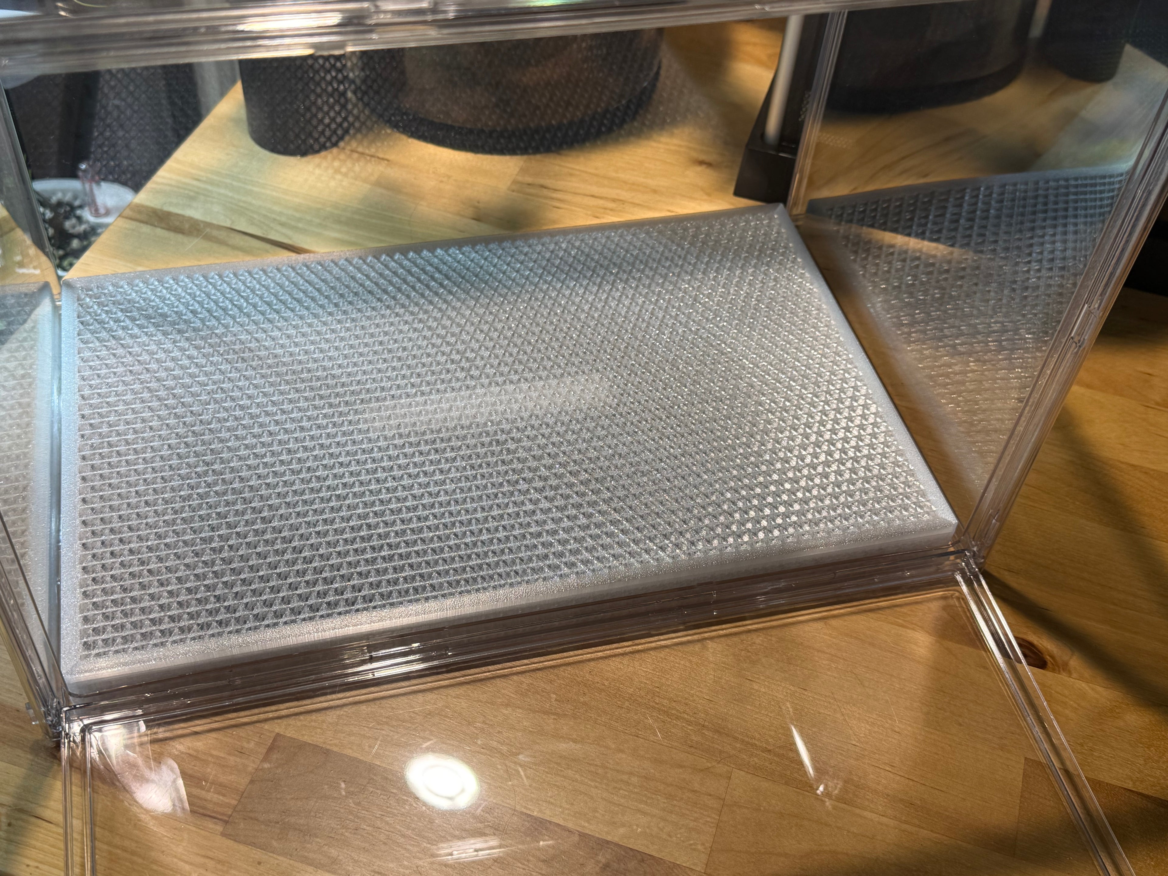🌿 PropRack™ - 24 Cup Corm Propagation Box System