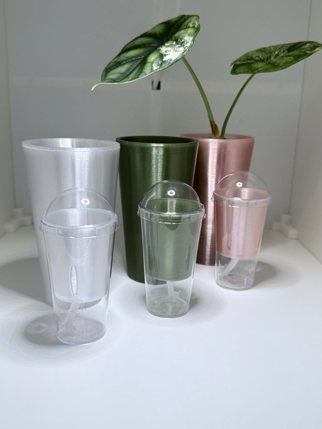 🖤 CormPod™ Self-Watering Propagation Insert