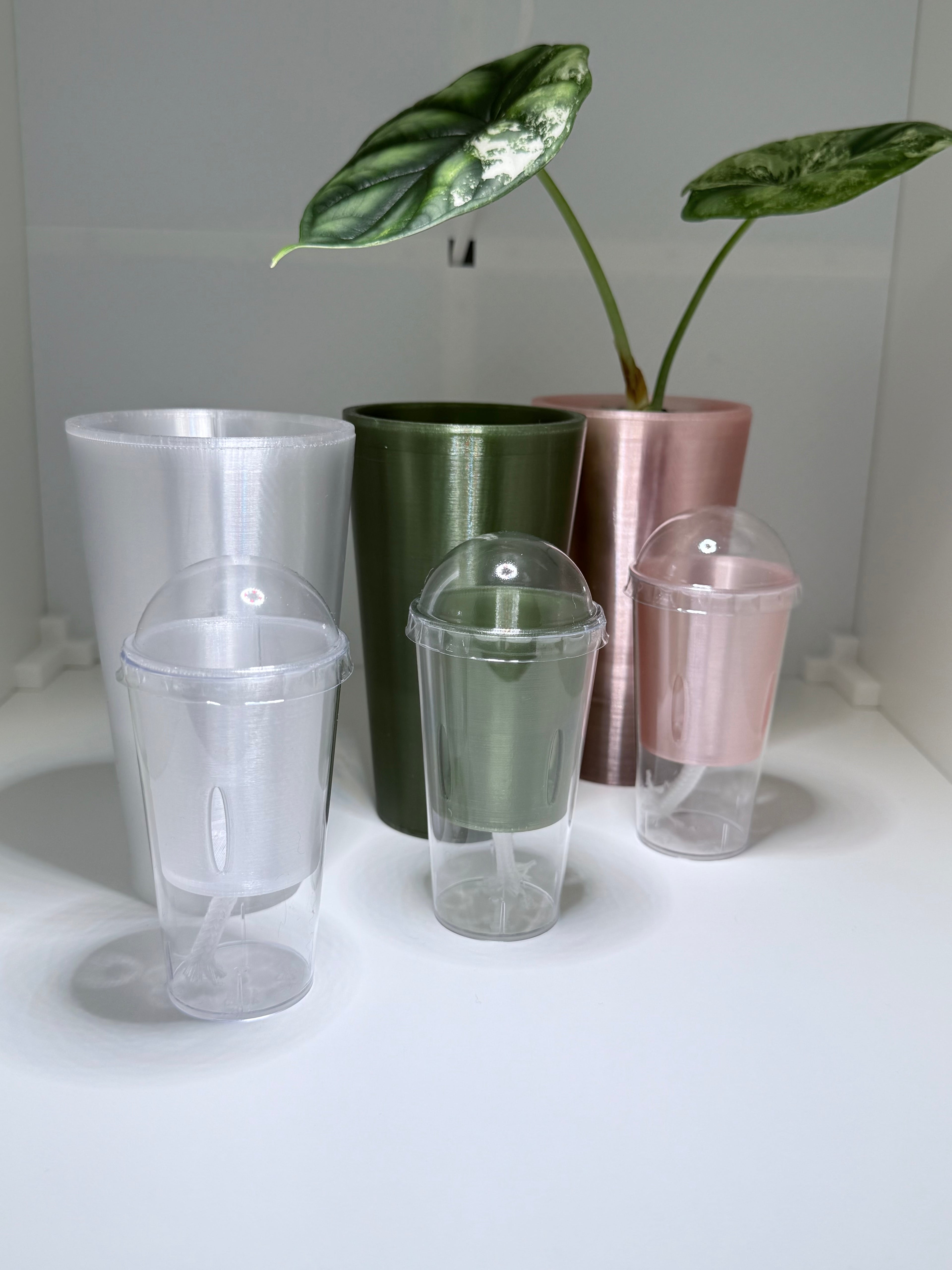 🌱 Plantling™ Self-Watering Propagation Pot