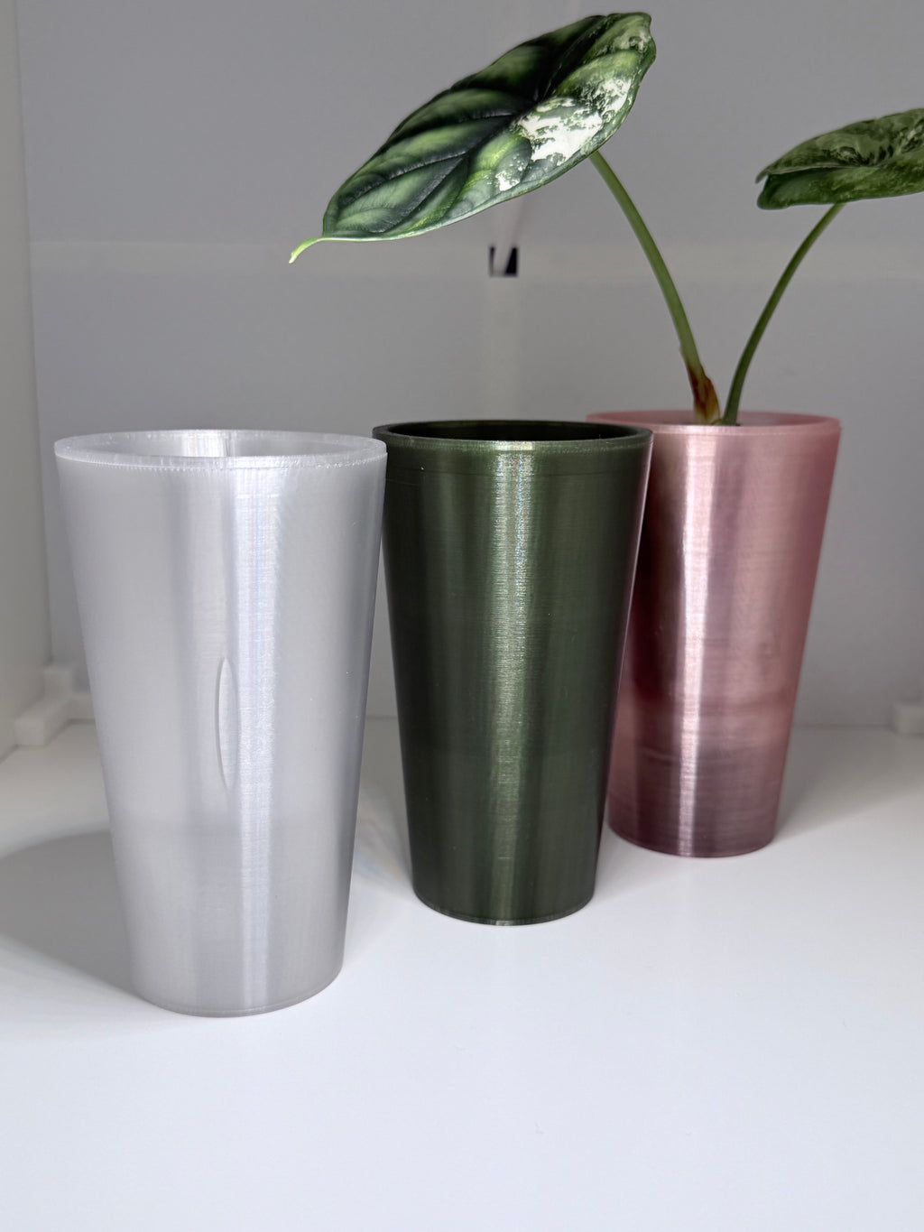 🌱 Plantling™ Self-Watering Propagation Pot