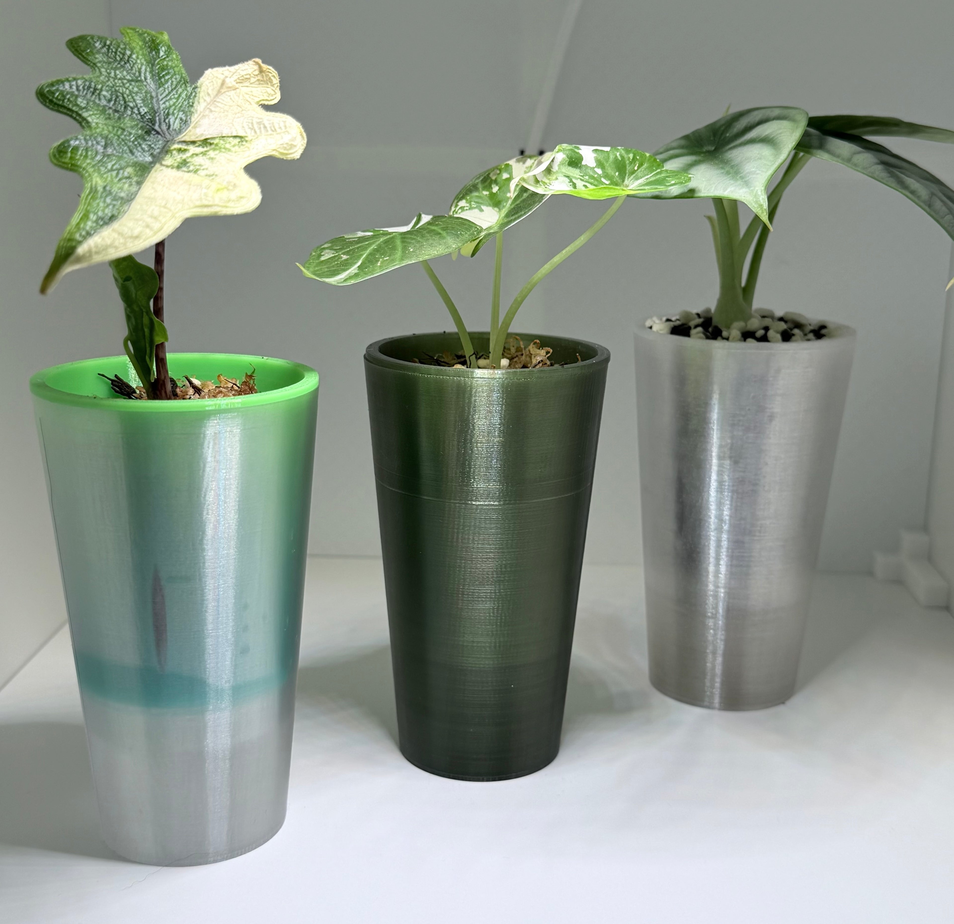 🌱 Plantling™ Self-Watering Propagation Pot