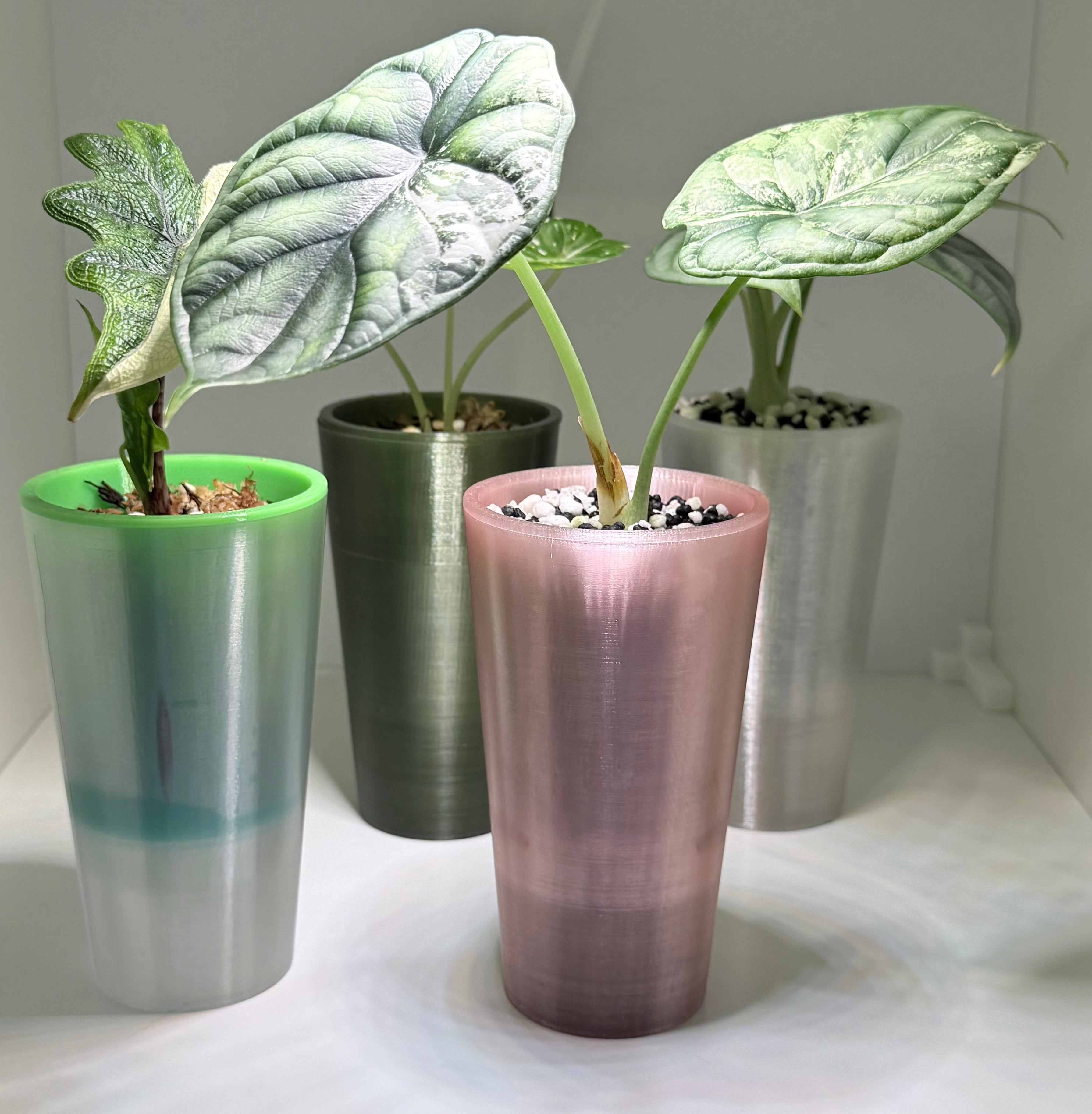 🌱 Plantling™ Self-Watering Propagation Pot