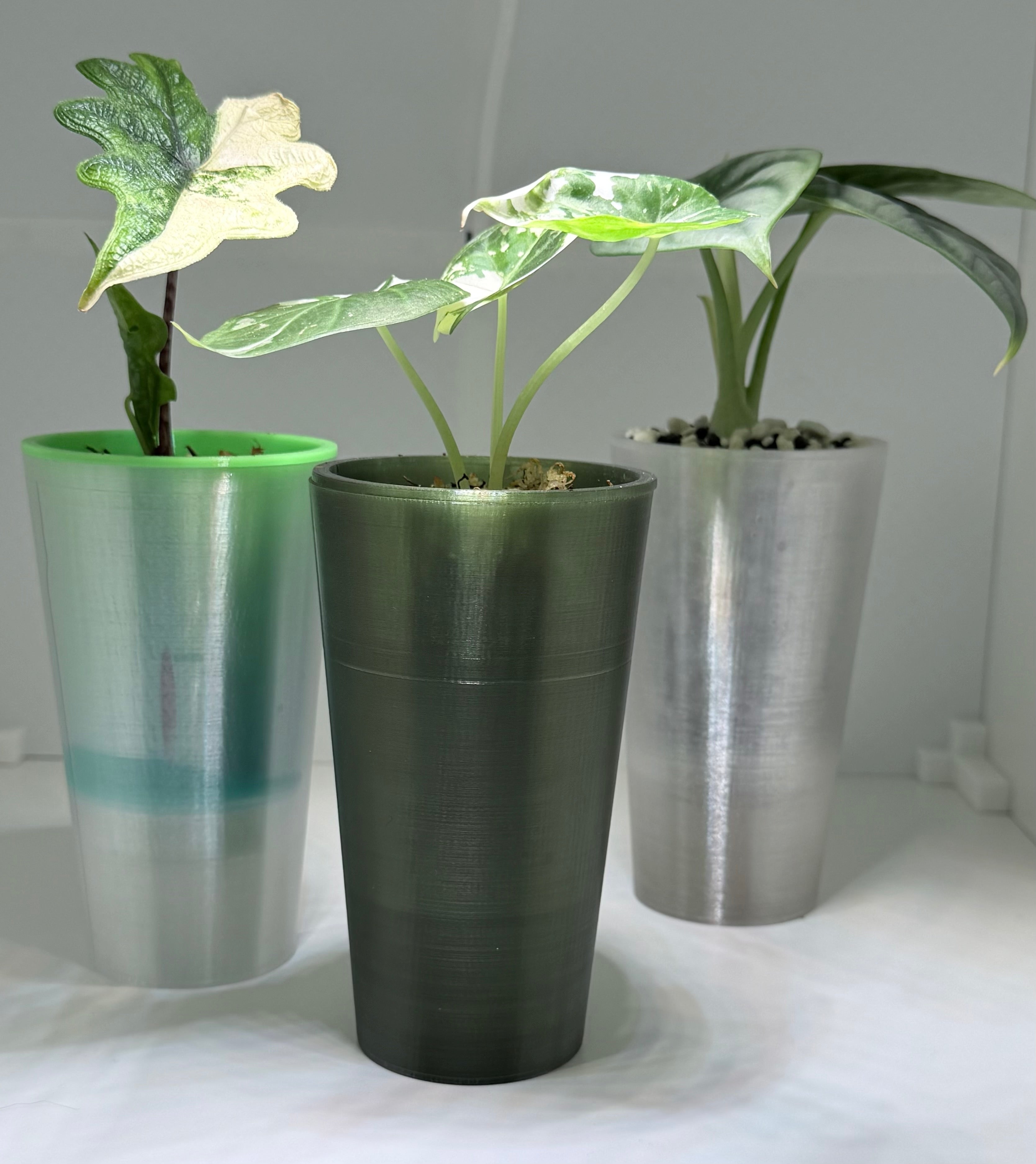🌱 Plantling™ Self-Watering Propagation Pot