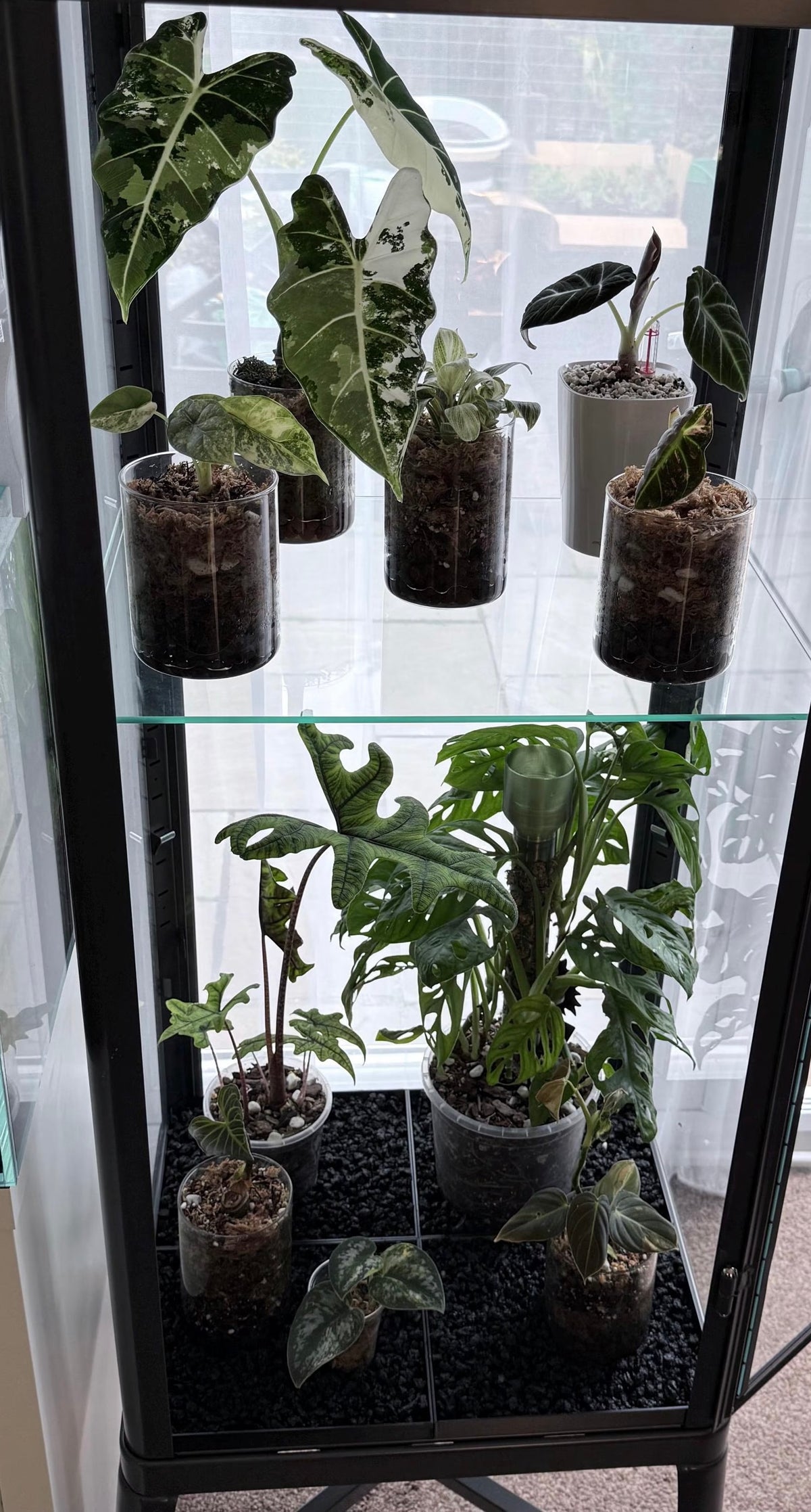 Fabrikor Tall Humidity Base System