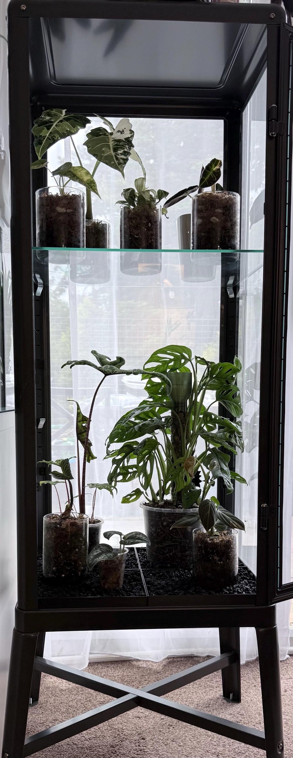 Fabrikor Tall Humidity Base System