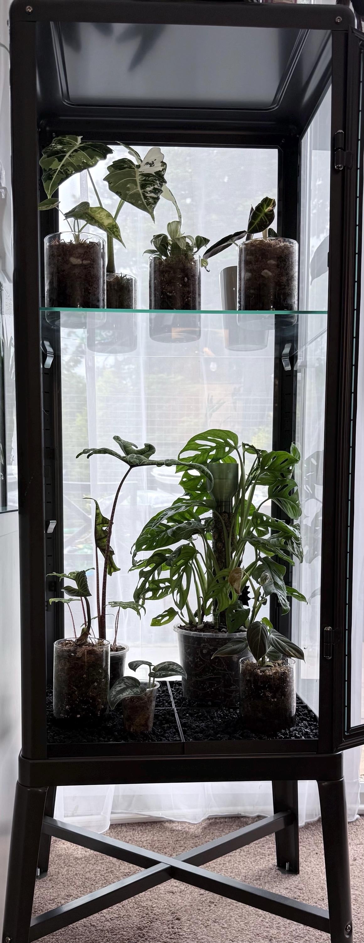Fabrikor Tall Humidity Base System