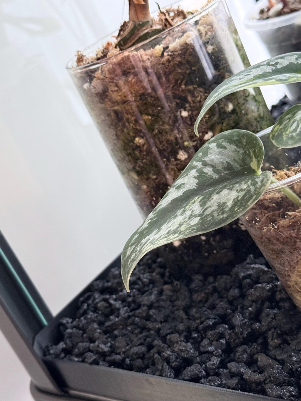 Fabrikor Tall Humidity Base System