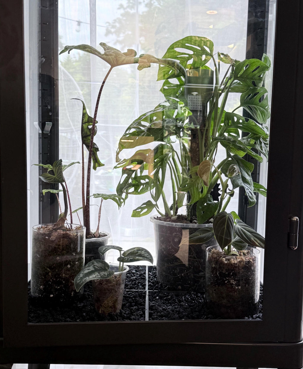 Fabrikor Tall Humidity Base System