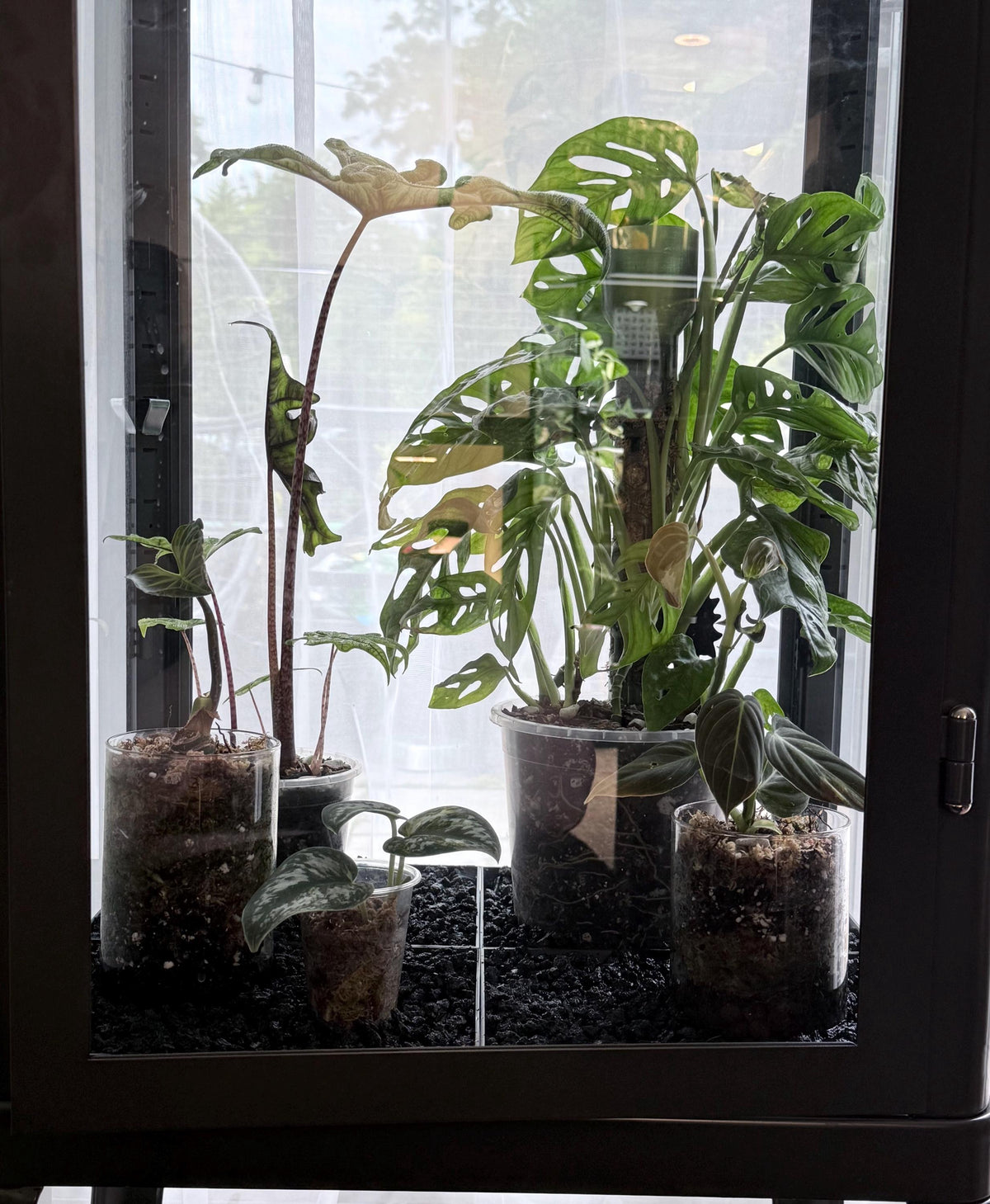 Fabrikor Tall Humidity Base System