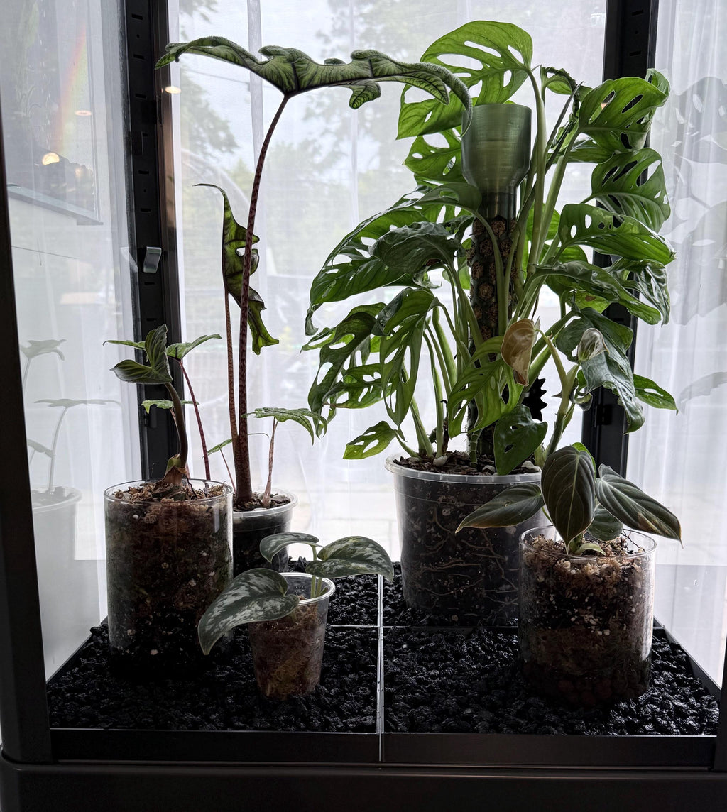 Fabrikor Tall Humidity Base System
