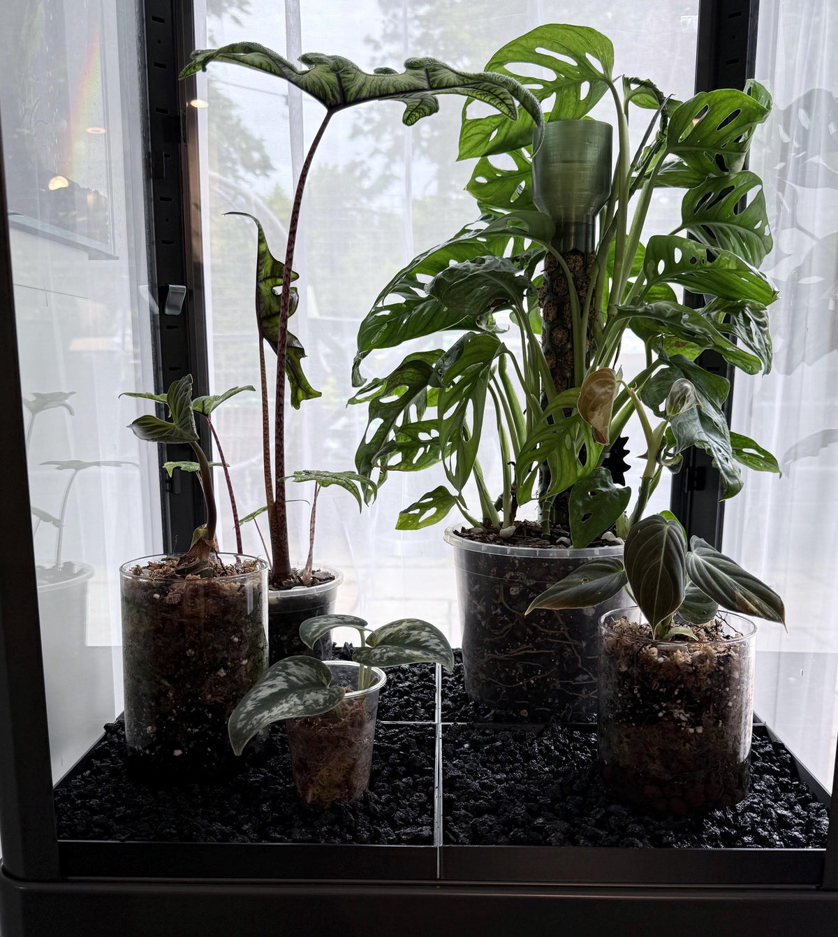 Fabrikor Tall Humidity Base System
