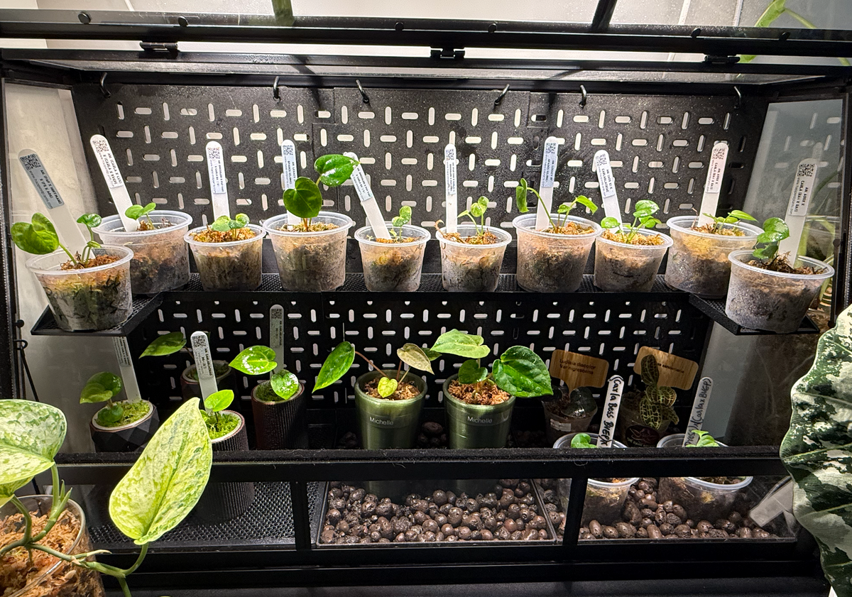Modular Vented Pegboard Shelf System